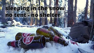 Caught in the Snow | Winter Camping (no tent, no shelter, bushcraft fire cooking)