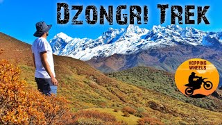 Dzongri Summit । Dzongri Trek । Sikkim । Most adventurous trek in India । GOECHA LA । Goechala ।