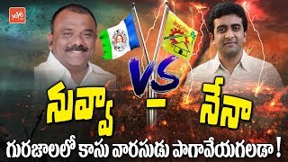 Who Will Win In Gurazala | AP Elections 2019 | Yarapathineni Srinivasa Rao | YCP VS TDP | YOYO TV