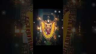 POOJALANDARU CHESEDE PUSHPAYAGAM#devotionalsongs #song #devotional #god #annamayya