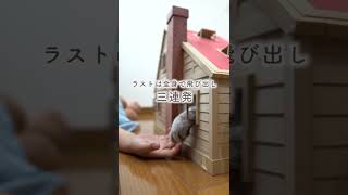 飛び出す猫 #Shorts