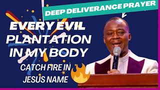 Every Evil Plantation In My Body, Catch Fire in Jesus’ Name | Deliverance Prayer by Dr. D.K. Olukoya