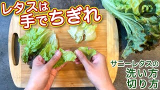 サニーレタスの洗い方と切り方　N.D.Kitchen Basic