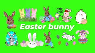Animated Easter Bunny GIF Green Screen Pack (Free Download)