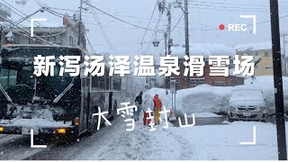 新潟湯沢｜汤泽高原滑雪场，大雪封山，距离东京很近，超推荐，免费滑雪，时间富裕还可以泡温泉欣赏雪景