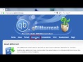 How to Install qBittorrent v4.0.1 (64-bit)