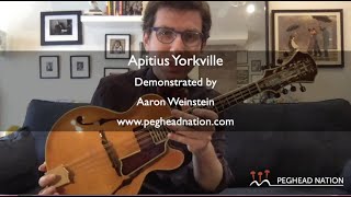 Aaron Weinstein demos the Apitius Yorkville jazz mandolin.