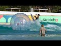 Pro Surfers Get Weird in a Wavepool!