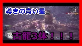 【MHW】導きの青い星(クシャ,テオ,ネギ)　ソロ13分