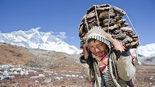 They carry it in the blood: the Himalayan Sherpas genetically adapted to the lack of oxygen.