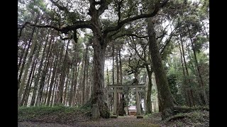 ～六所神社～千葉県 B級スポット散策