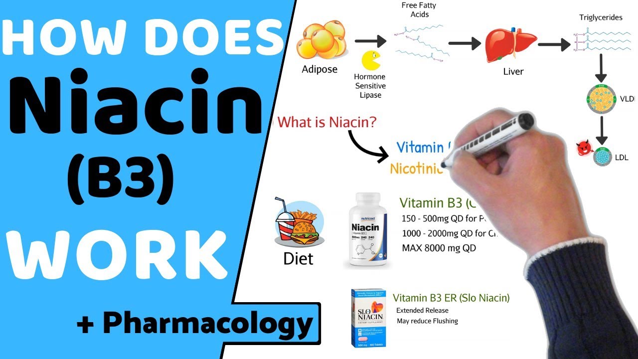 How Does Niacin (B3) Work? (+ Pharmacology) - YouTube