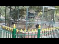 karachi zoo