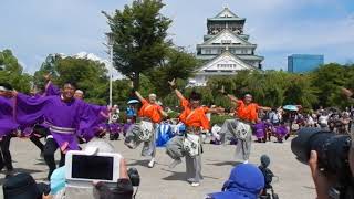 [公式]京炎 そでふれ！咲産華 9/10 こいや祭り 大阪城天守閣前会場