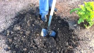 What's The Difference Between Top Soil and Garden Soil?