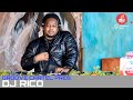 Amapiano | Groove Cartel Presents Dj Rico