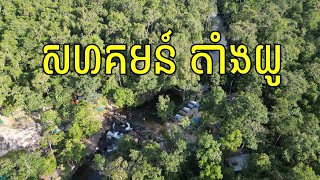 សហគមន៍ តាំងយូ ភ្នំត្បែងមានជ័យ