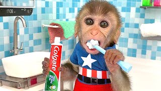 Baby Monkey Chu Chu brush his teeth in the toilet and eat egg with puppy, duckling in the garden