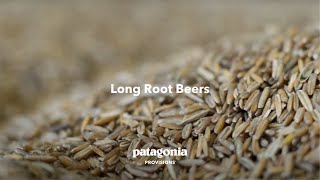 Long Root Beers | Patagonia Provisions