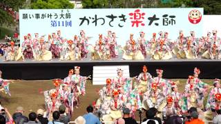 天空しなと屋　しん　in　かわさき楽大師「厄除よさこい」　2015