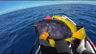 PECHE EN KAYAK AU PORT 974 ( débutant lol )