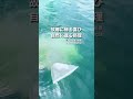 故郷に帰る喜び　自然に還る摂理　大分の海洋散骨