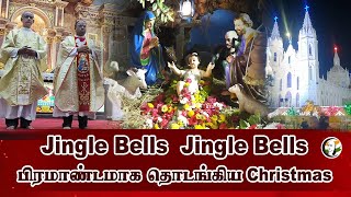 பிரமாண்டமாக தொடங்கிய Christmas | Christmas Celebration 2024 | Velankanni