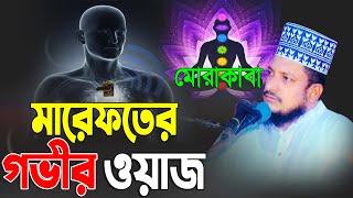 মারেফতের গভীর ওয়াজ | Sheikh Sadi Abdullah Sadekpuri Waz | মাওলানা শেখ সাদী আব্দুল্লাহ সাদেকপুরী