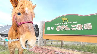 北海道 美しい村「鶴居村」ホーストレッキング