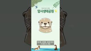 한강 안에  대규모 생태공원이 있다고?🌳 | 암사생태공원 #shorts