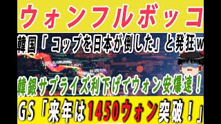 【韓国経済】韓国の絶望！韓銀サプライズ利下げでウォン安爆速で1400突破ｗゴールドマンサックス「来年は1450ウォンまで下がる」と警告して阿鼻叫喚ｗ