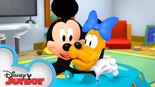 Mickey's Bow-Wow Birthday 🎂 | Mickey Mouse Hot Diggity Dog Tales | Disney Junior