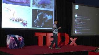 Impact of the discovery of intelligent alien life | Taher Kathawala | TEDxYouth@Winchester
