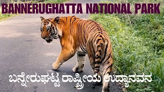 Bannerghatta National Park ಬನ್ನೇರುಘಟ್ಟ ರಾಷ್ಟ್ರೀಯ ಉದ್ಯಾನವನ Jungle Safari Zoo Butterfly Park Bengaluru