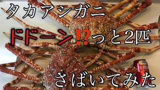 【さかなのじかん】タカアシガニのさばき方と美味しい調理方法