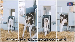 4頭同時に哺乳可能！？カーフエクスパートの新機能をご紹介！