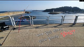 비어4 450(500) 병계식(꽂기식) 로드 사용기!