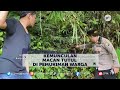 BAHASA DAERAH | Warga Lereng Gunung Raung Digegerkan Kemunculan Macan Tutul