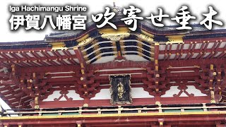 【伊賀八幡宮】徳川家康ゆかりの建物を宮大工が解説【どうする家康】【愛知・岡崎市】 Iga Hachimangu Shrine Palace carpenters explain