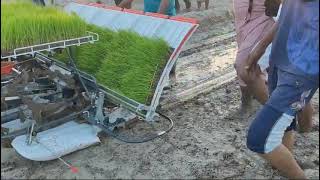 Walk after rice Transplanter | Mini Rice Transplanter | Kubota | KW-4 | KW-6