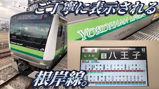 【1駅だけ根岸線】横浜線の快速に乗ってきた。