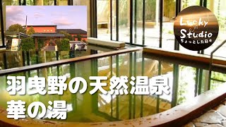 羽曳野 天然温泉 穴場⁉️ 華の湯