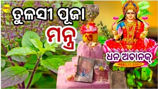 ଅଚାନକ ଧନ ପ୍ରାପ୍ତ ହୁଏ | ତୁଳସୀ ମନ୍ତ୍ର | ତୁଳସୀ ବୃକ୍ଷ | କେଉଁ ସ୍ଥାନରେ ଗଛଟି ଲଗାଇବା ଉଚିତ୍