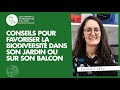 Comment favoriser la biodiversité dans son jardin ou son balcon ?