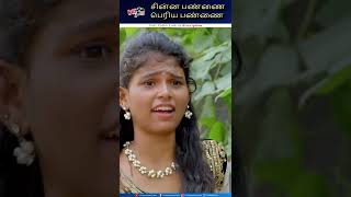 இது பொண்ணு கெடயாது கல்லுல சுத்துன புடவை  |  Chinna Pannai Periya Pannai