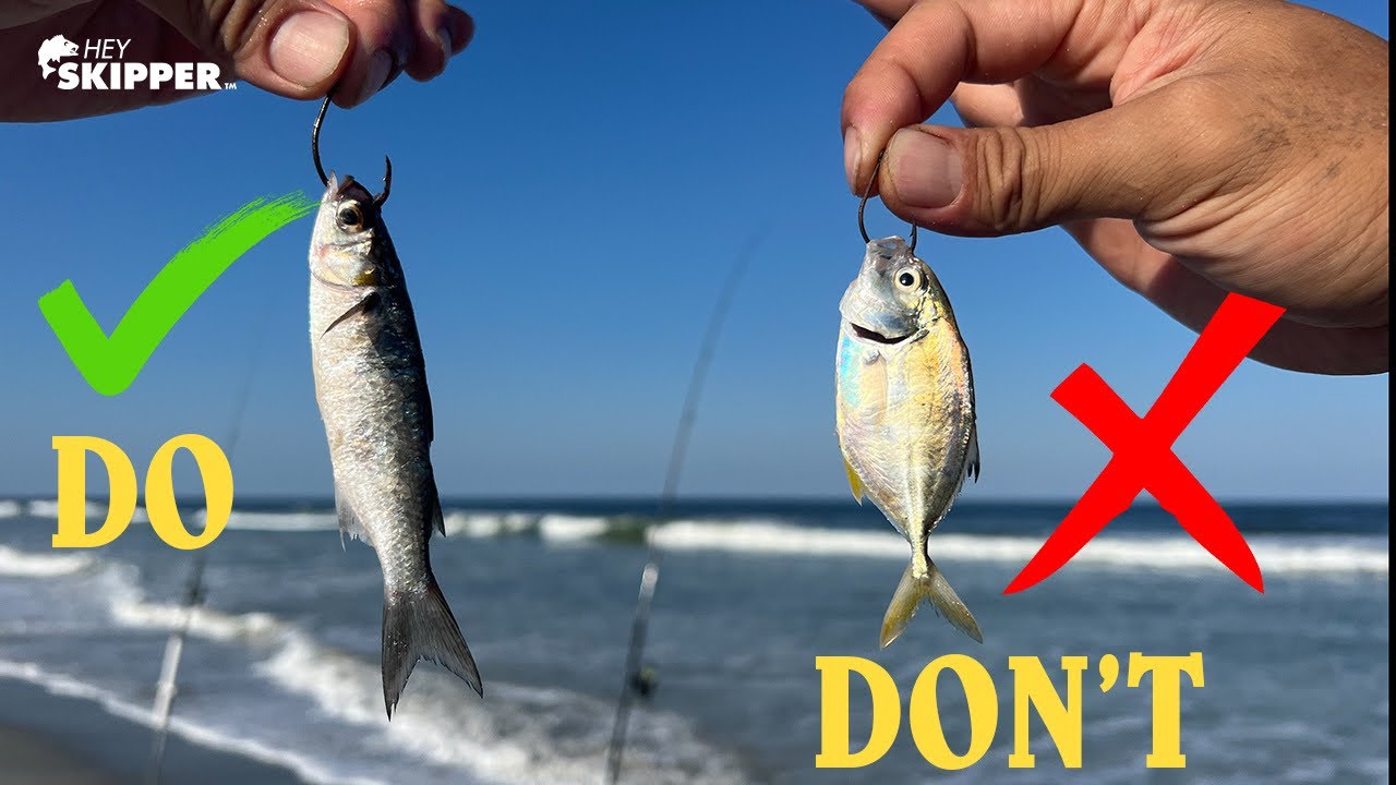 EPIC Surf Fishing Method W/ LIVE Bait | Do’s And Don’ts To Catch MORE ...