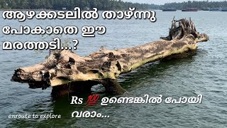 ആഴക്കടലിൽ താഴ്ന്നു പോകാതെ ഈ മരത്തടി😳|Beypur|Boating|enroute to explore#viralvideos