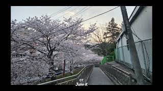 [Playlist] 첫 곡부터 분위기 미친 팝송플리💗🧡ㅣ무드가 장난아닌 팝송모음