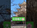 岐阜県大垣城🏯の🌸桜、 ちいかわ 桜 癒し 岐阜県大垣市y【yasukoba】