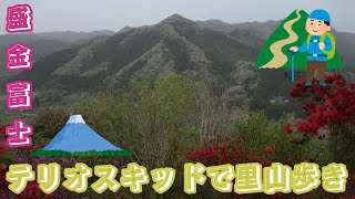 茨城県常陸大宮市　盛金富士　２インチ（５ｃｍ）リフトアップ　テリオスキッドで里山歩き　登山　イワウチワ